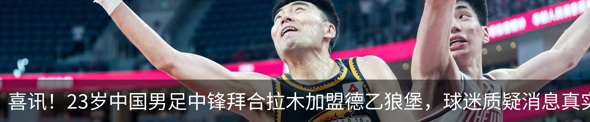 最新动态